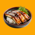 Unagi Don